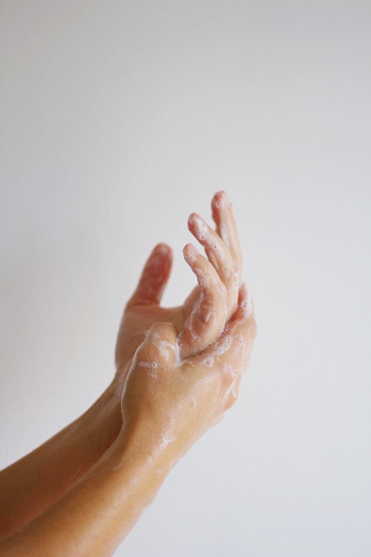 Santal | Hand + Body Wash