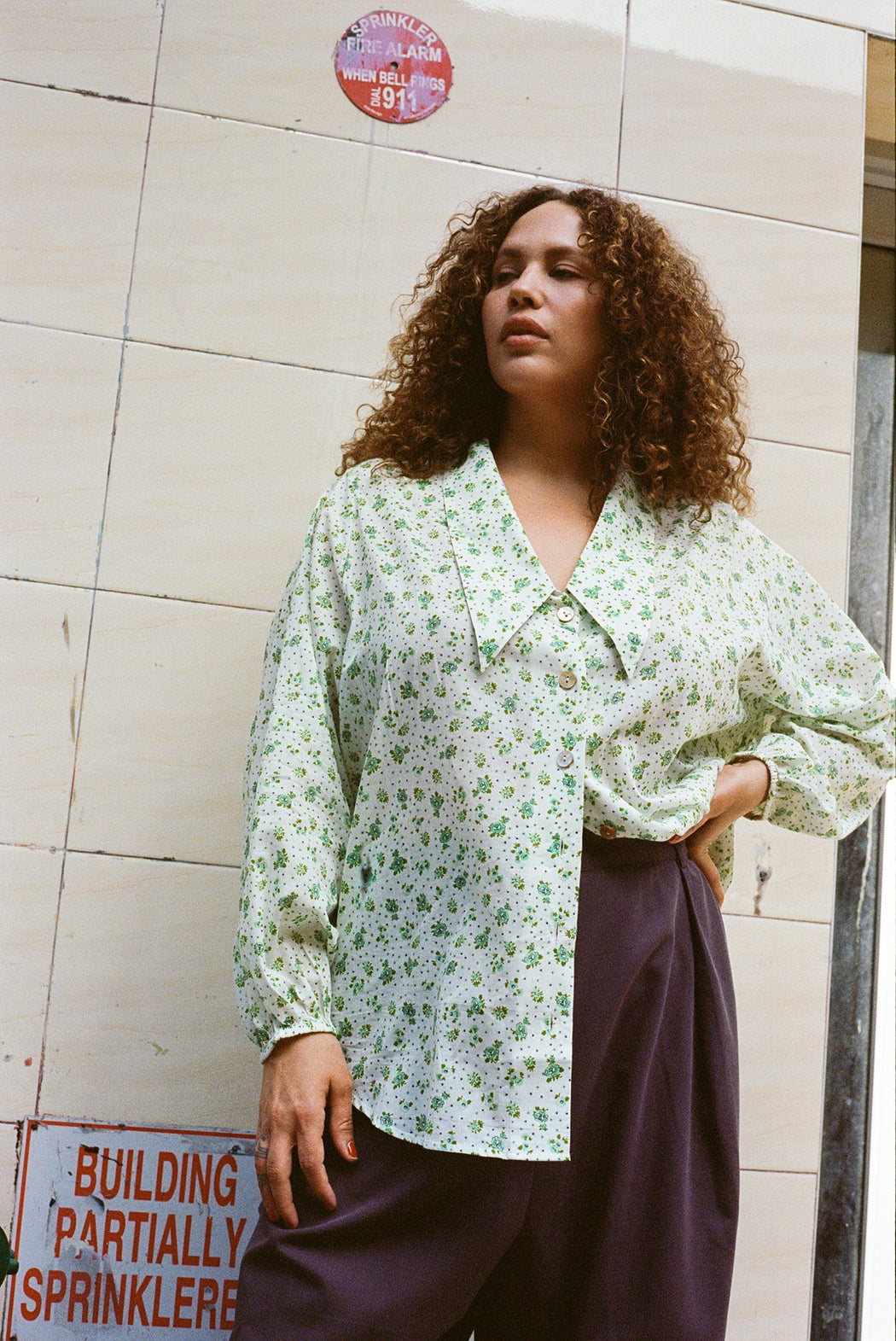 WRAY | NIC SHIRT | PARSLEY | HAZEL & ROSE | PLUS SIZE | Minneapolis