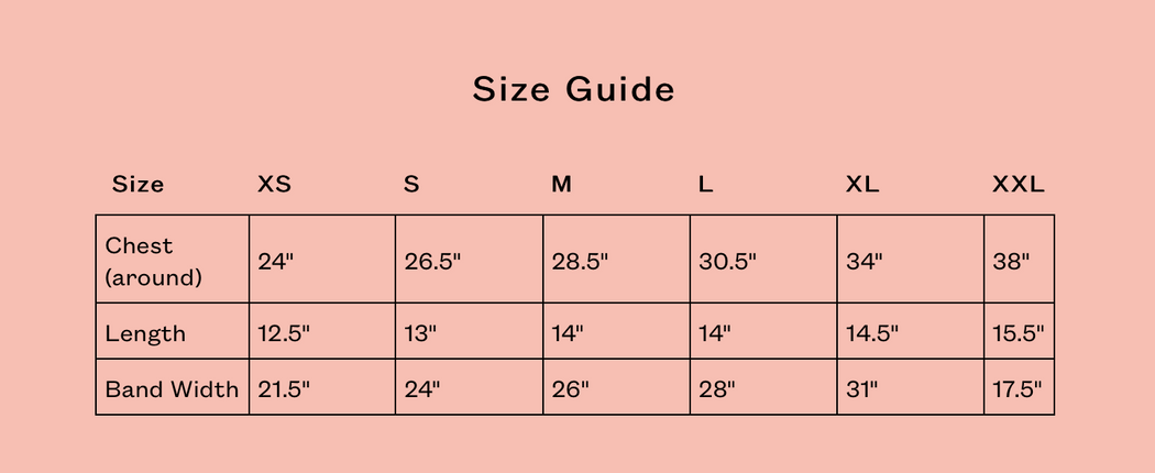 Organic Cotton Double Band Bra | Cement