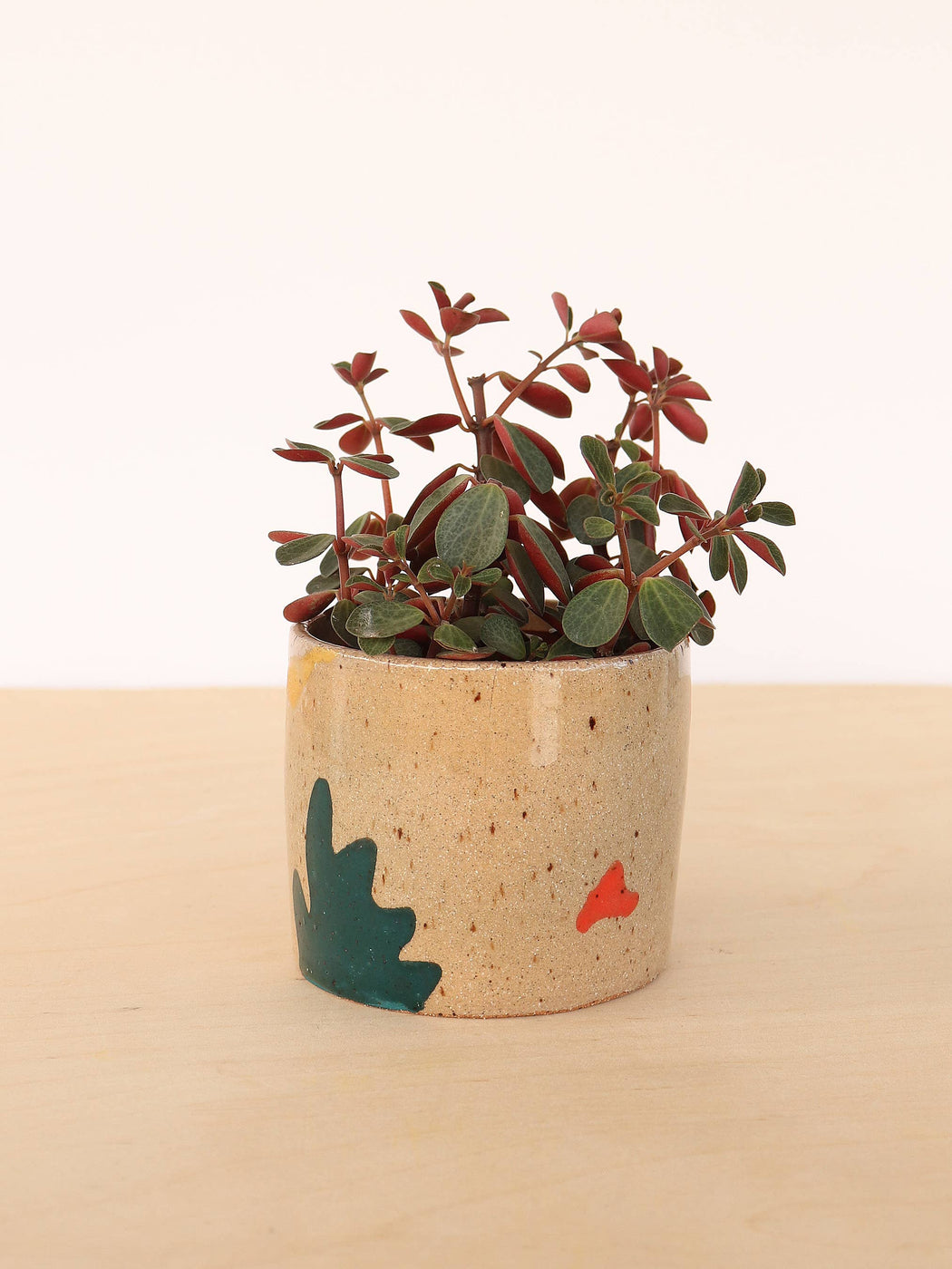 Nightshift Ceramics | Small Ceramic Planter | Holiday | Hazel & Rose | Minneapolis