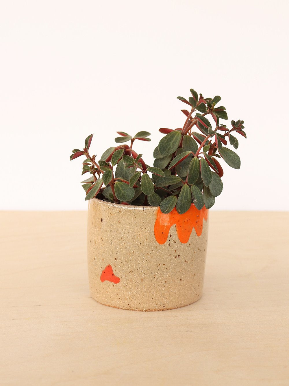 Small Ceramic Planter | Holiday