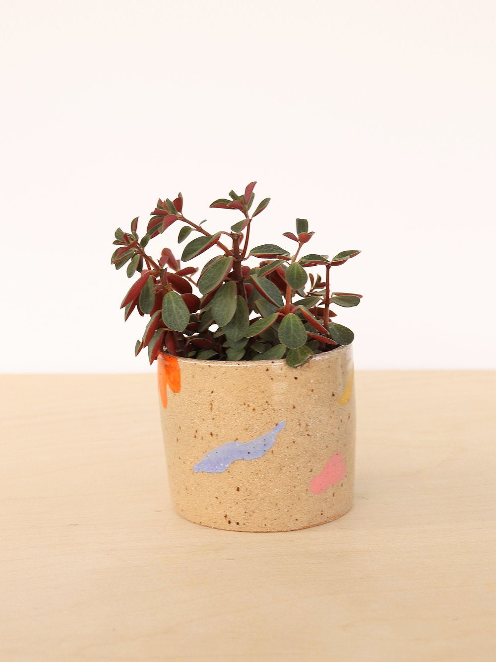 Small Ceramic Planter | Holiday