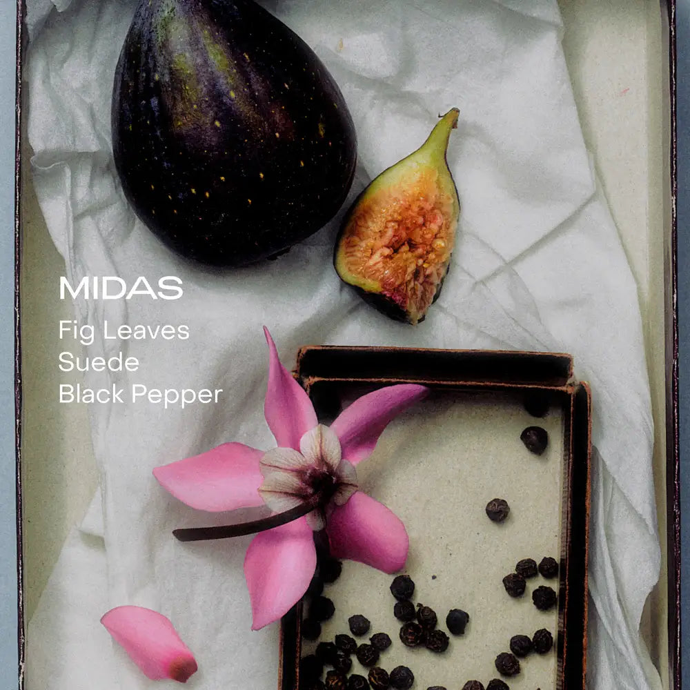 The Body Mist | MIDAS