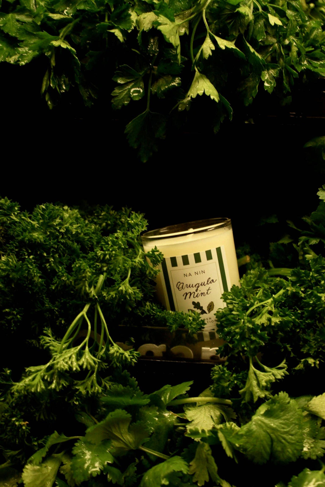 Arugula Mint Candle