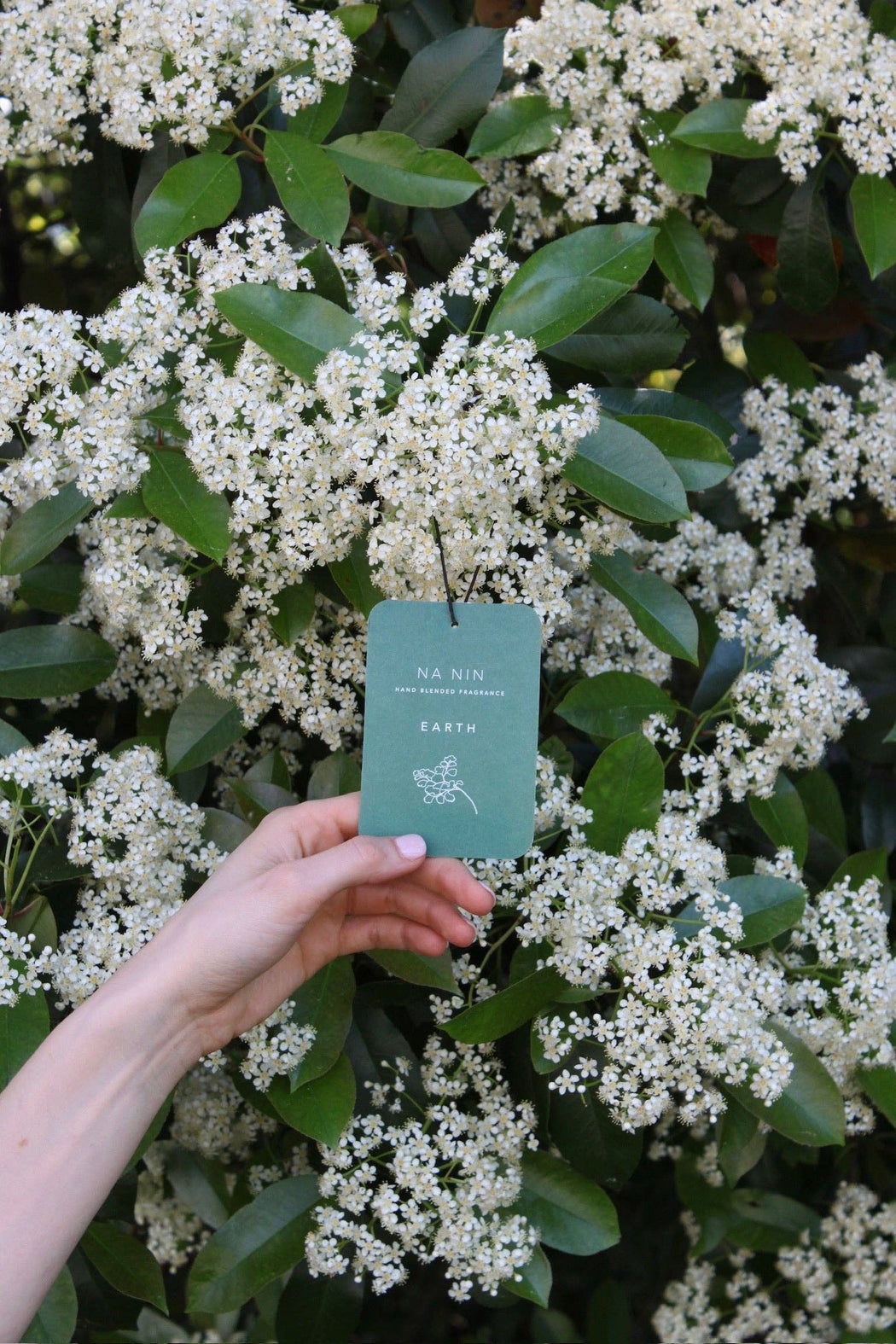 Earth Fragrance Card