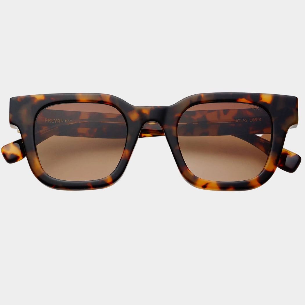 Atlas Acetate Rectangular Sunglasses : Tortoise / Brown