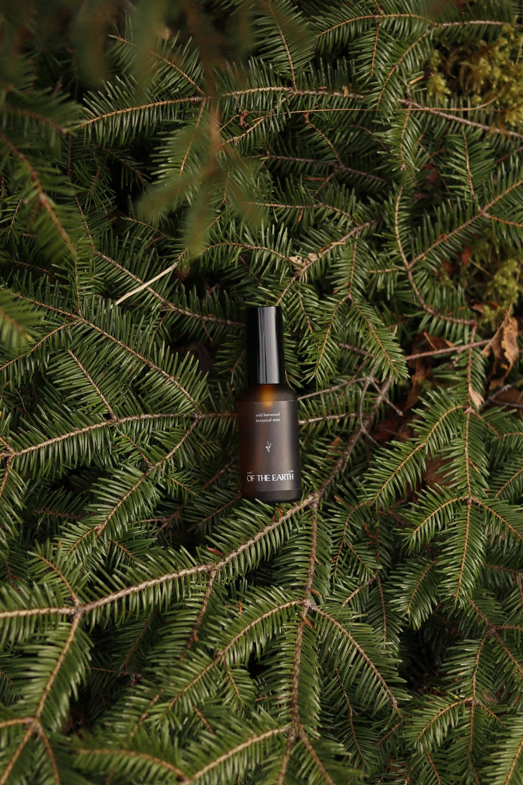 Balsam Fir, Fern & Moss | Room, Body & Linen Botanical Mist