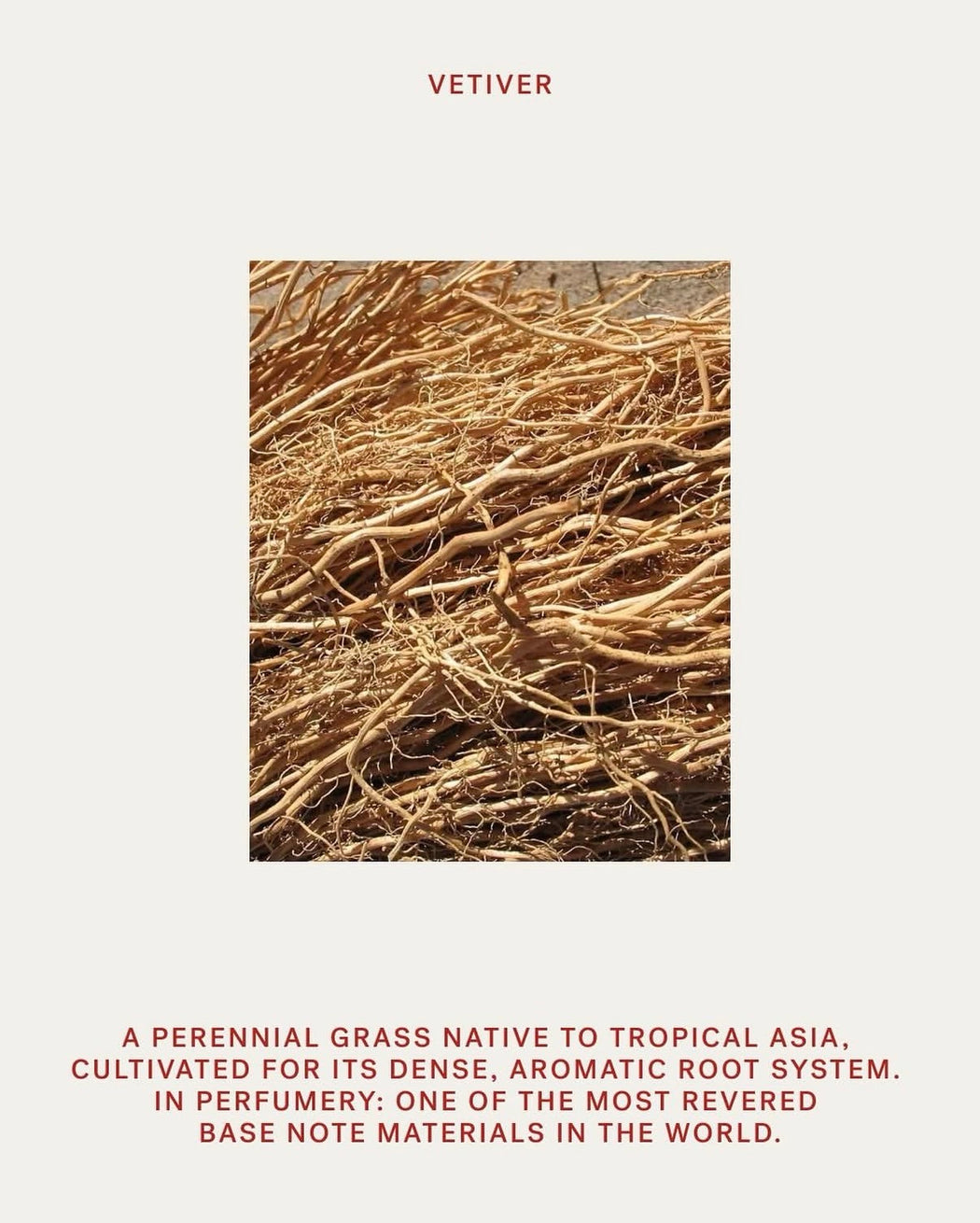 VETIVER SUPREME