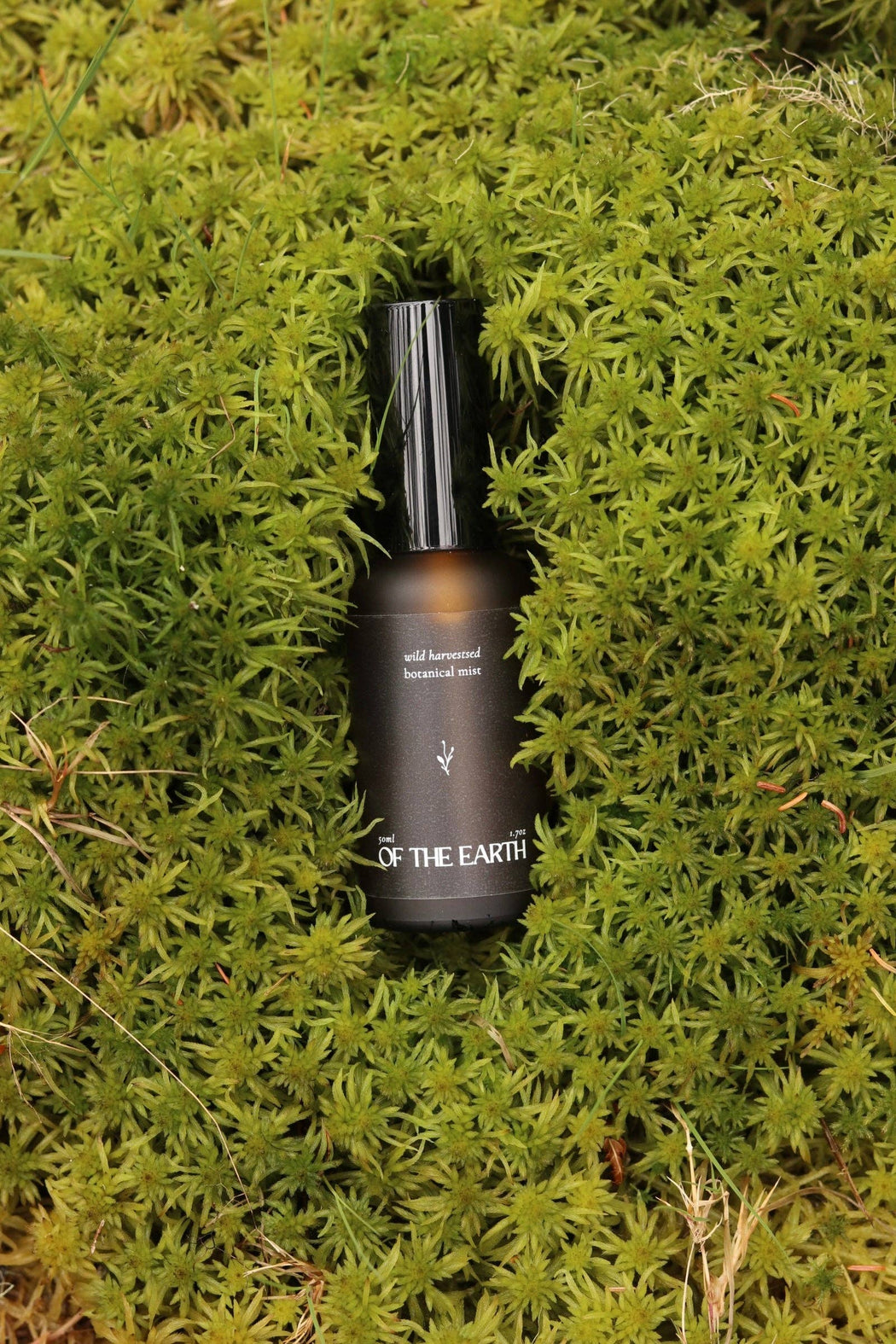 Balsam Fir, Fern & Moss | Room, Body & Linen Botanical Mist