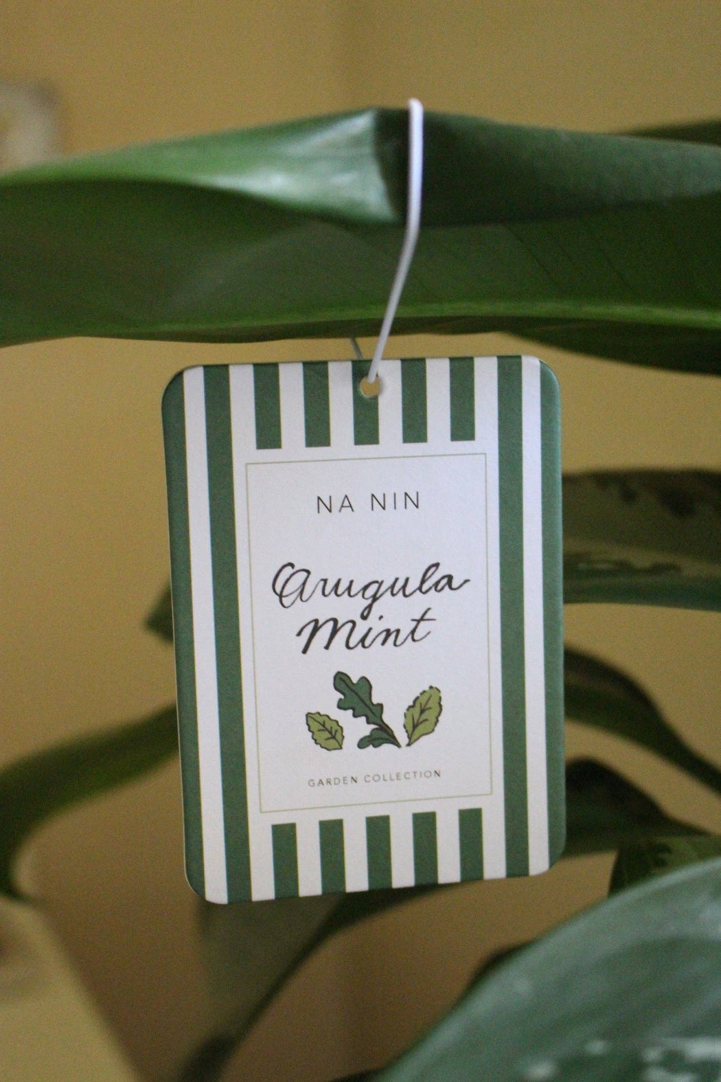 Arugula Mint Fragrance Card