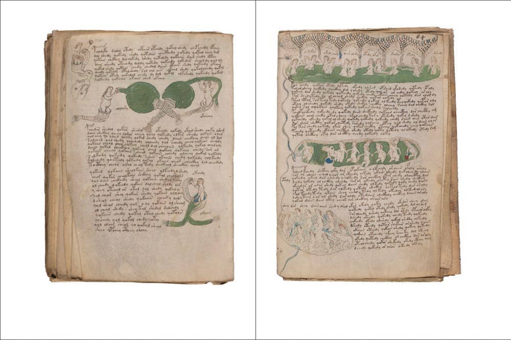 The Voynich Manuscript