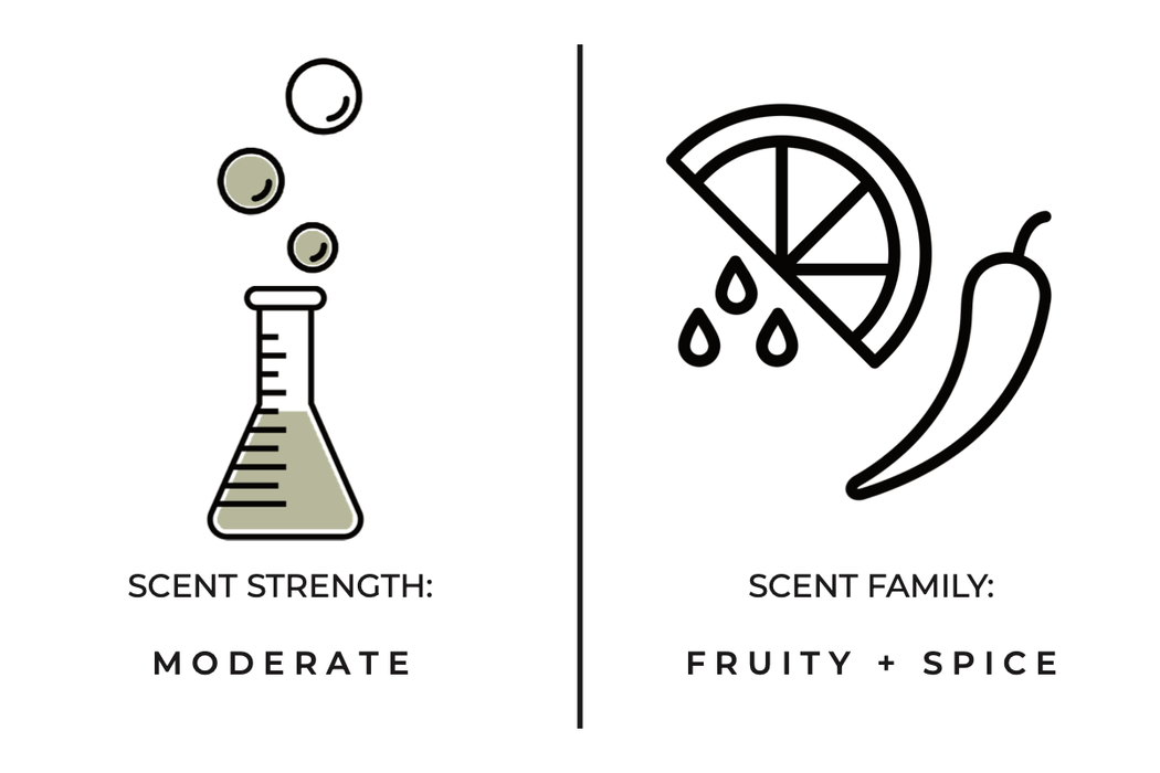 Bergamot + Black Tea Hand + Body Wash