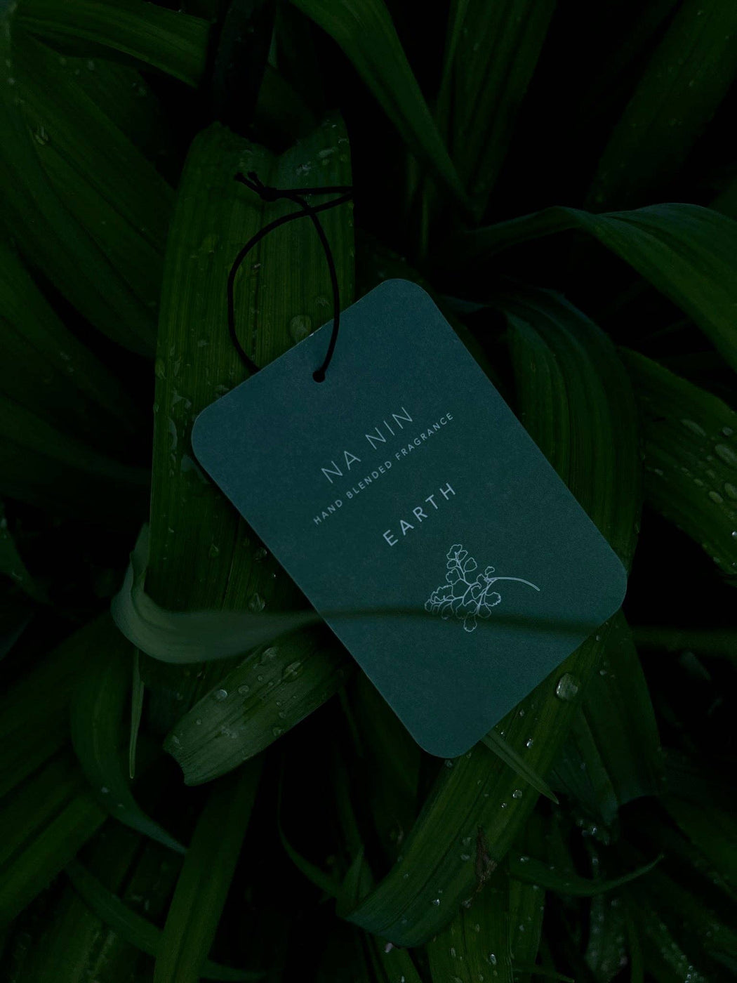 Earth Fragrance Card