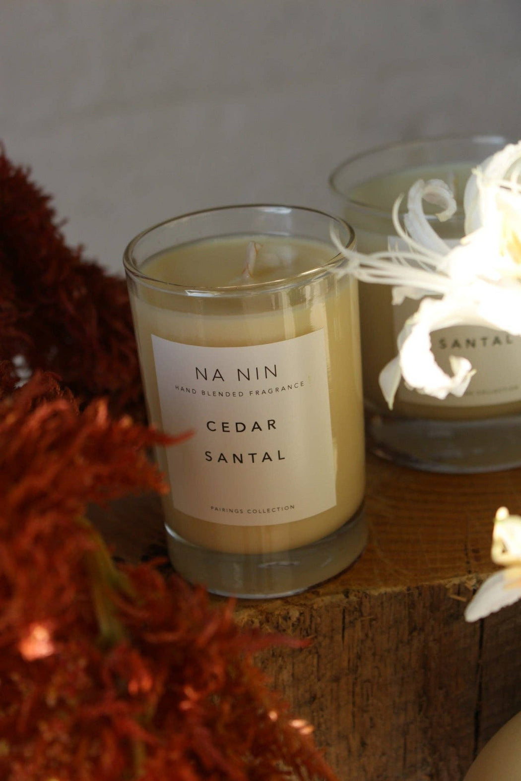 Cedar & Santal 5oz Candle