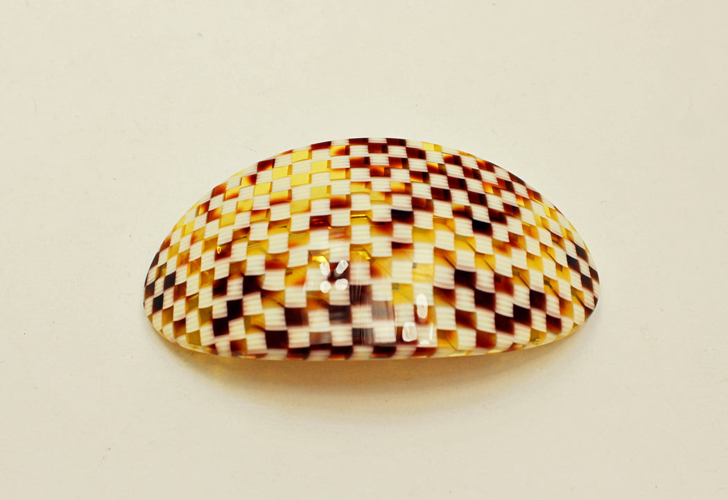 Bevel Oval French Barrettes: Tokyo