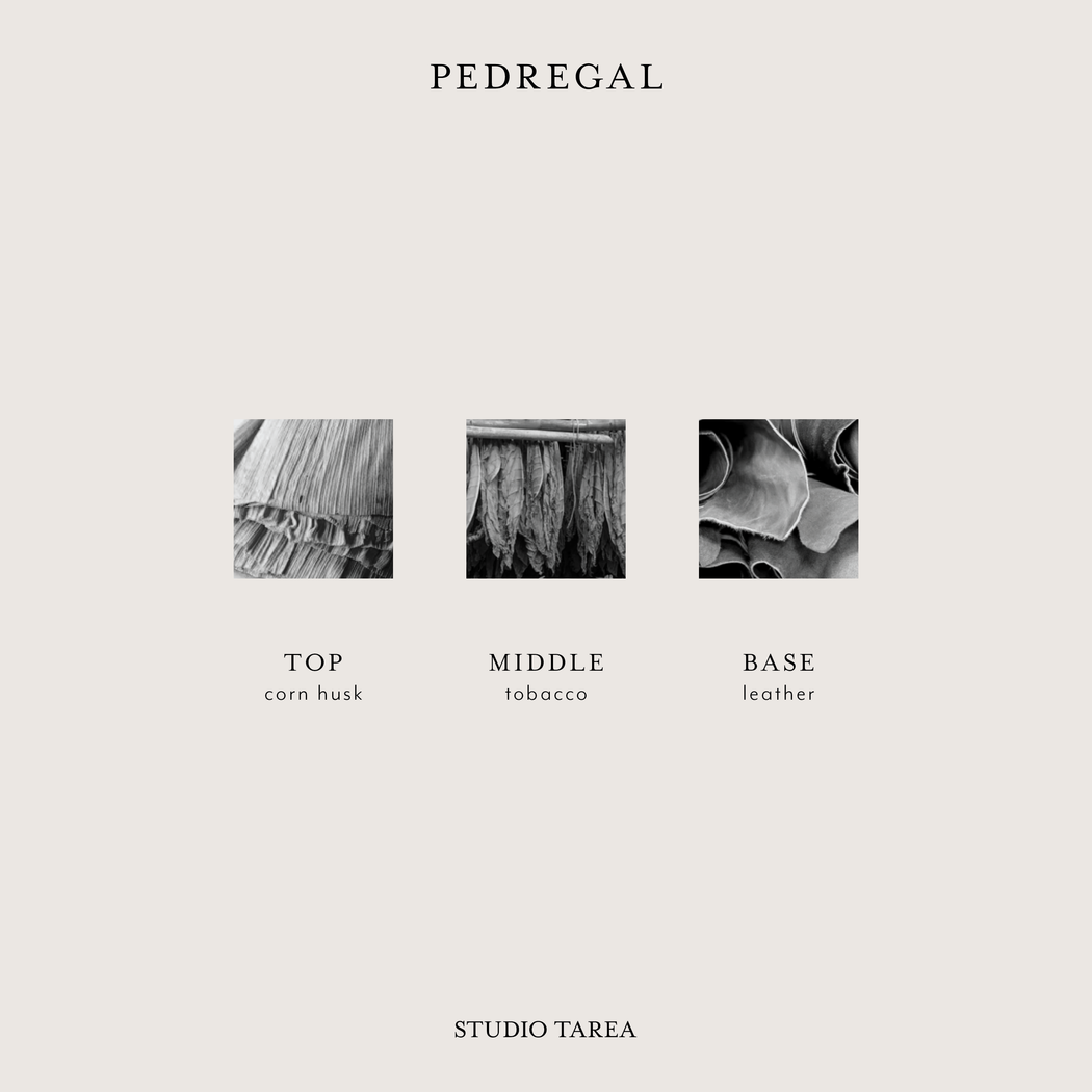 Pedregal | Earthy, Smoky Candle Inspired by Mexico City