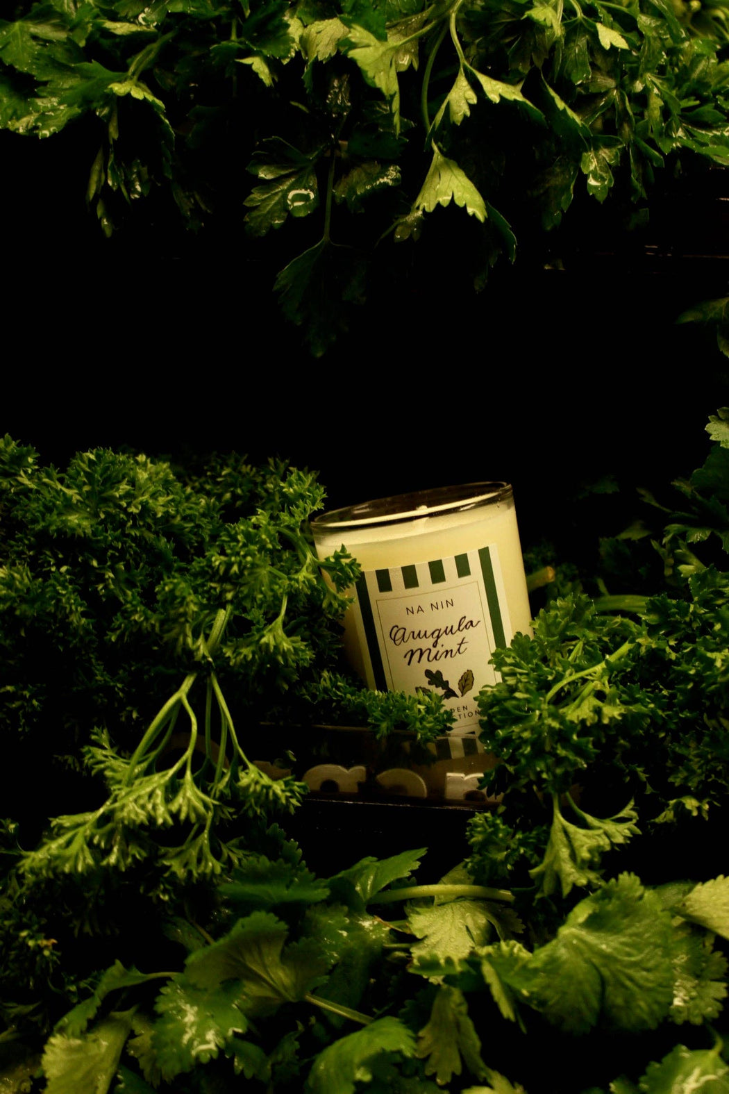 Arugula Mint Candle