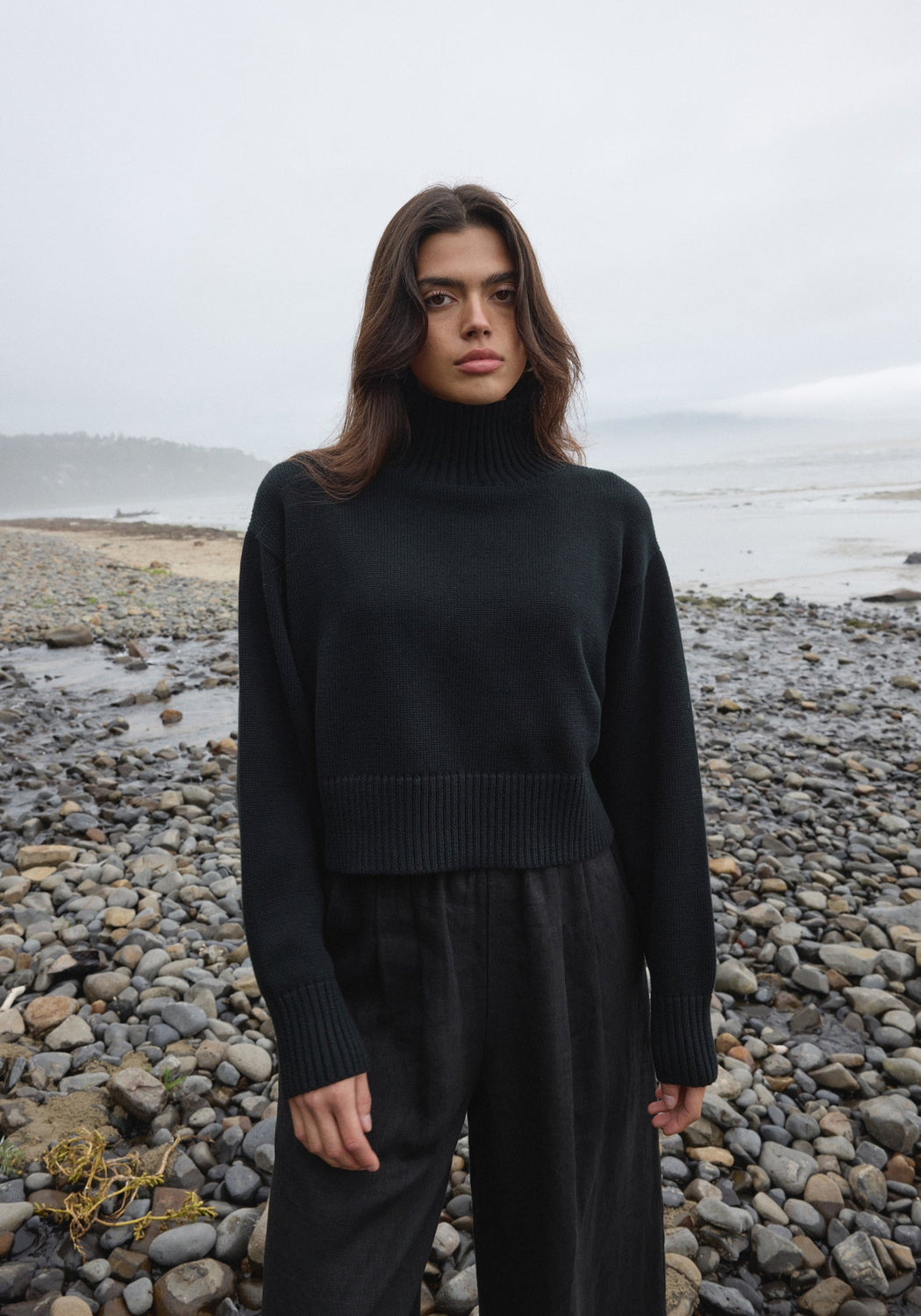 Crop Turtleneck | Black