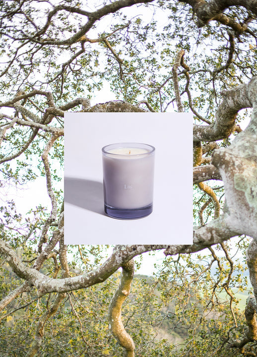 Reyes Scented Candle