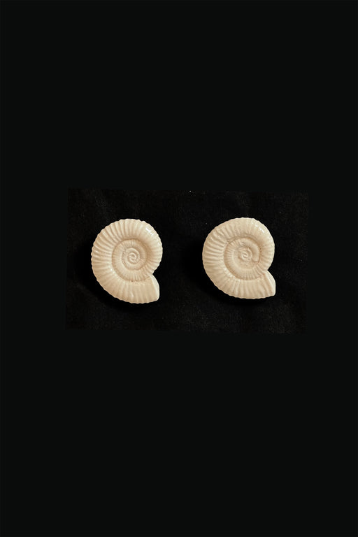 Nautila Ceramic Earrings | Cream