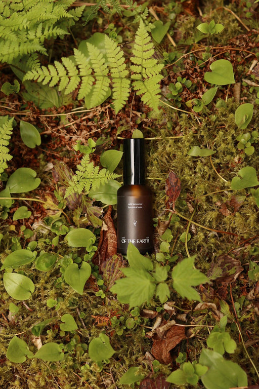 Balsam Fir, Fern & Moss | Room, Body & Linen Botanical Mist