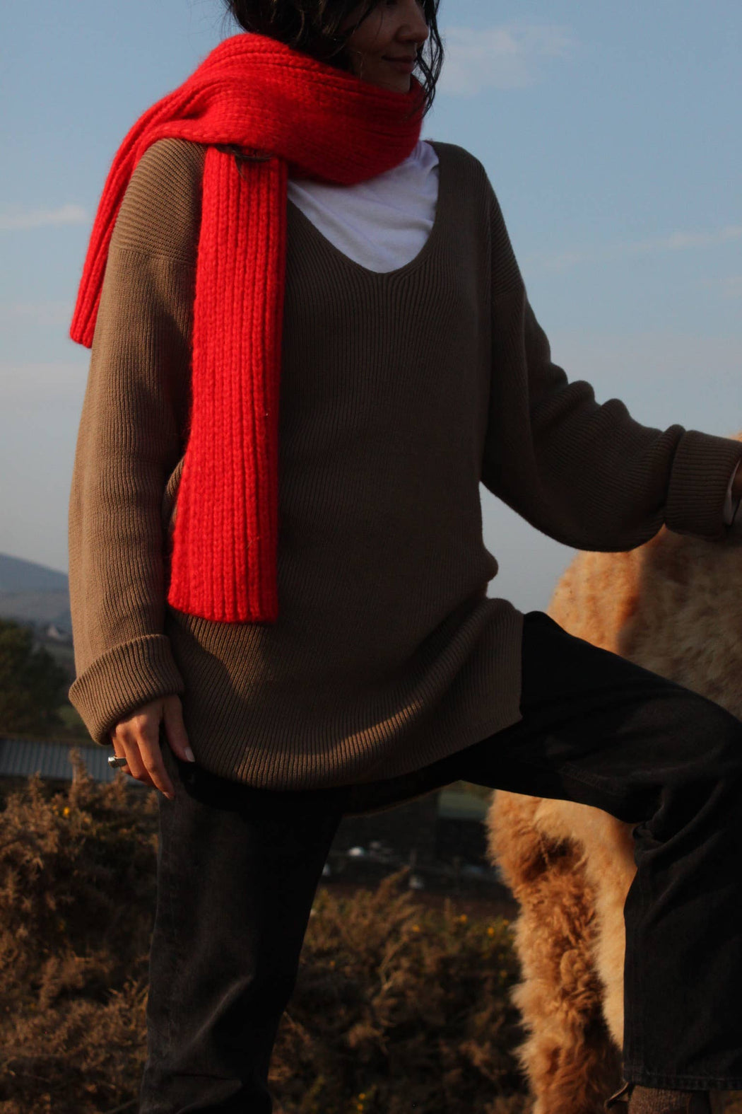 Sunny Pima Cotton Pullover | Moss