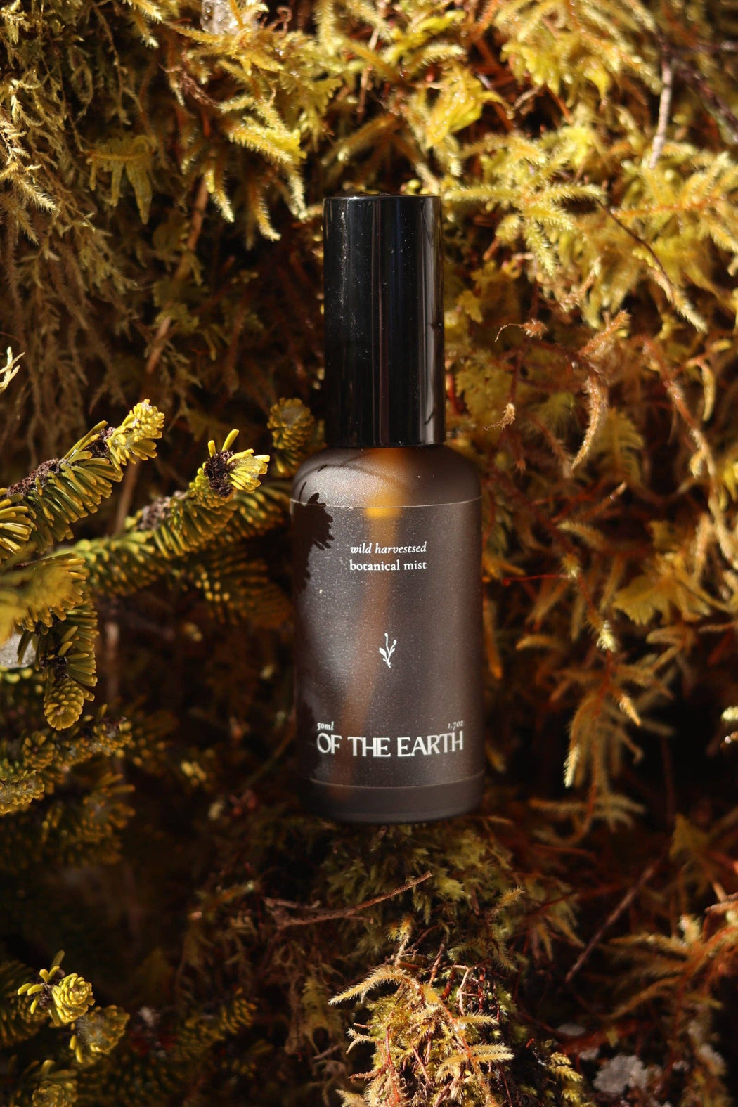 Black Spruce, Usnea & Moss | Room, Body & Linen Botanical Mist