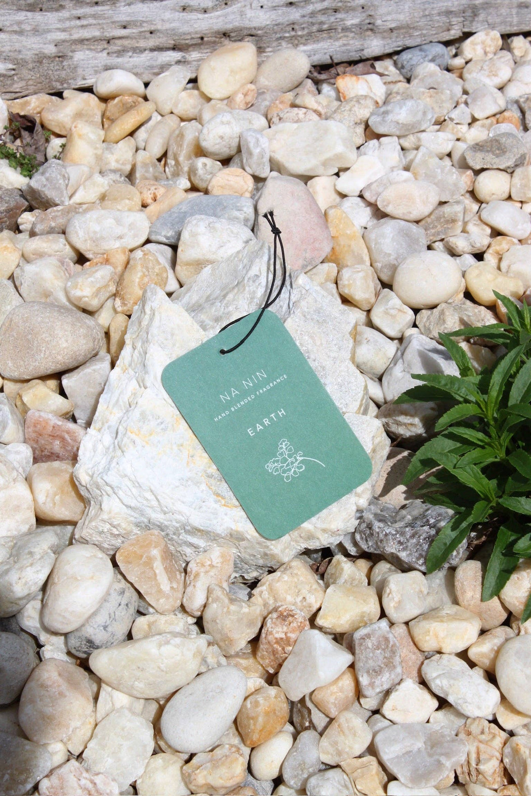 Earth Fragrance Card