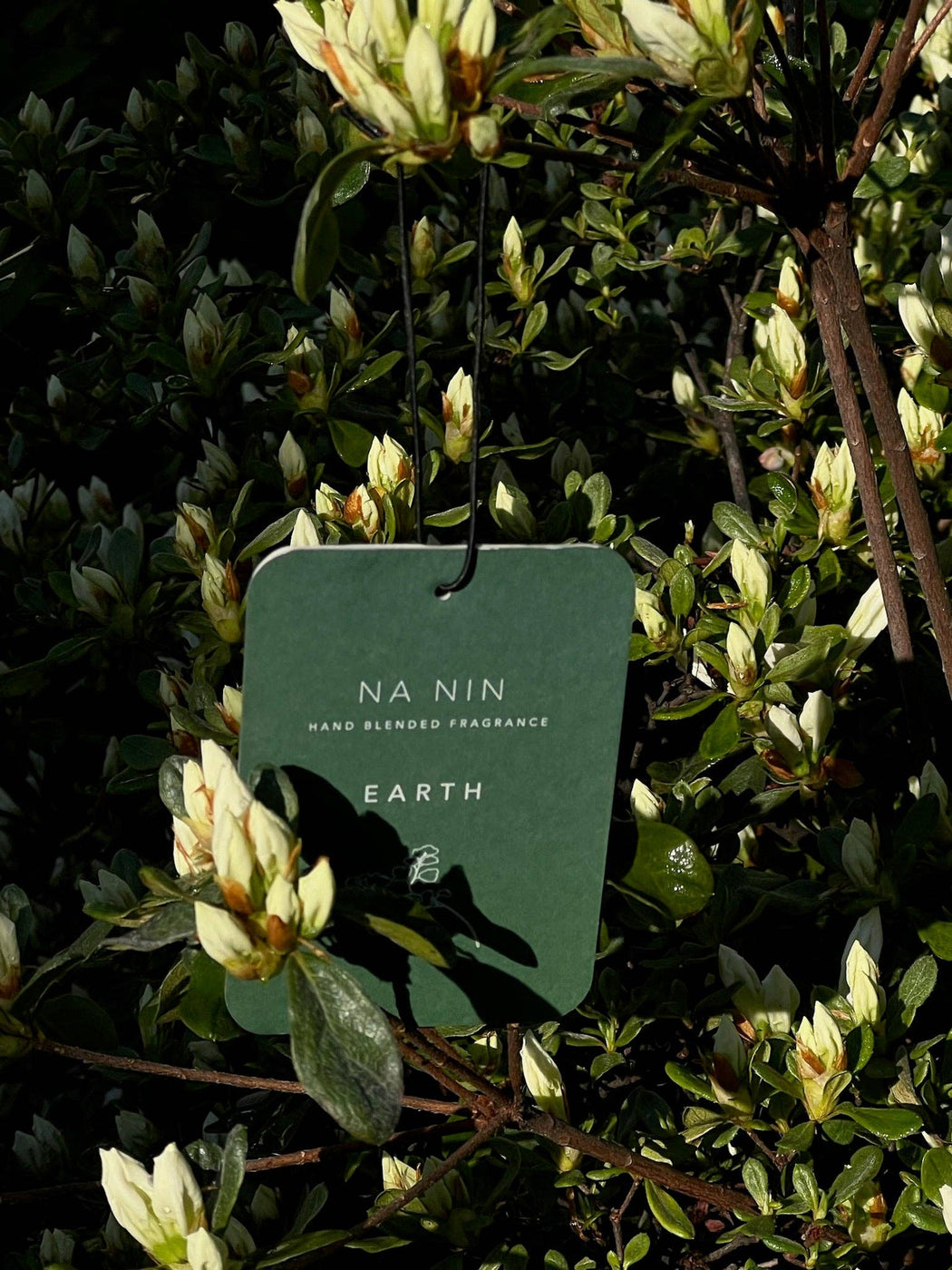 Earth Fragrance Card