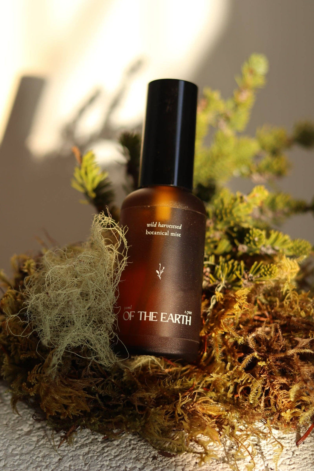 Black Spruce, Usnea & Moss | Room, Body & Linen Botanical Mist
