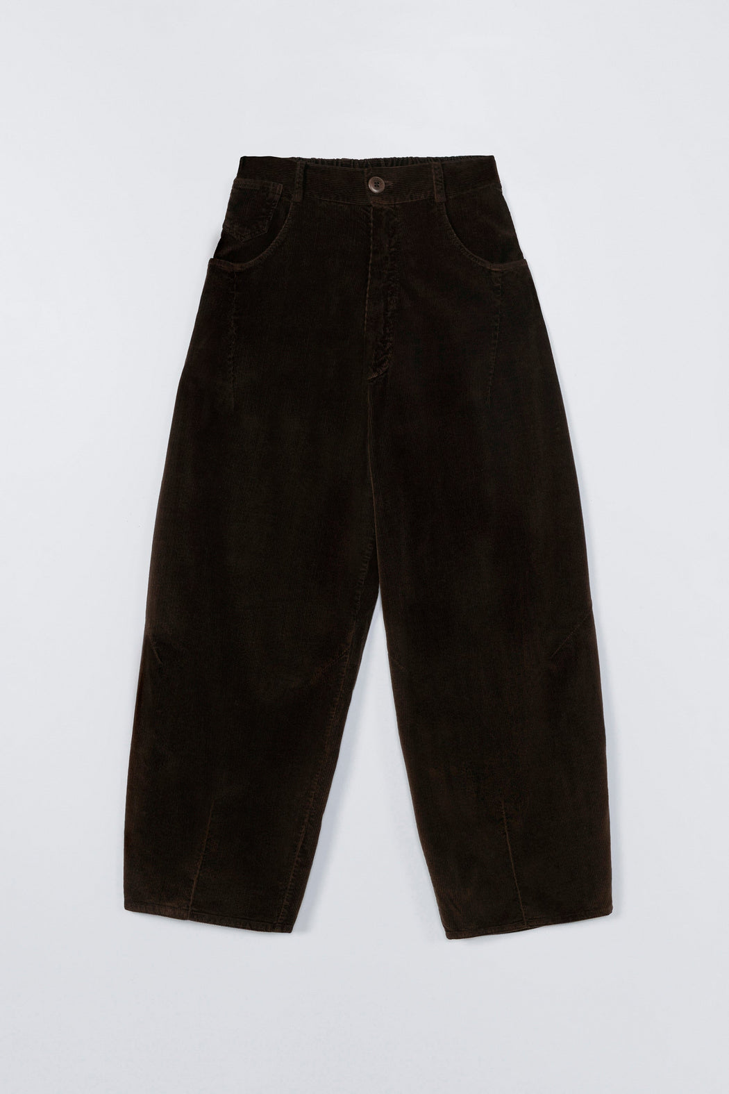 CORDUROY BAGGY PANTS | Brown