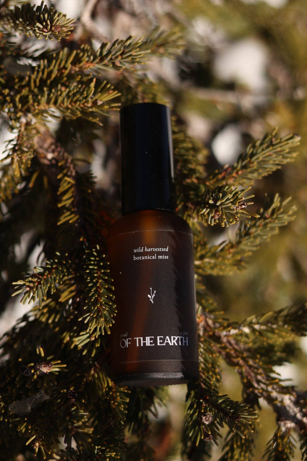 Black Spruce, Usnea & Moss | Room, Body & Linen Botanical Mist
