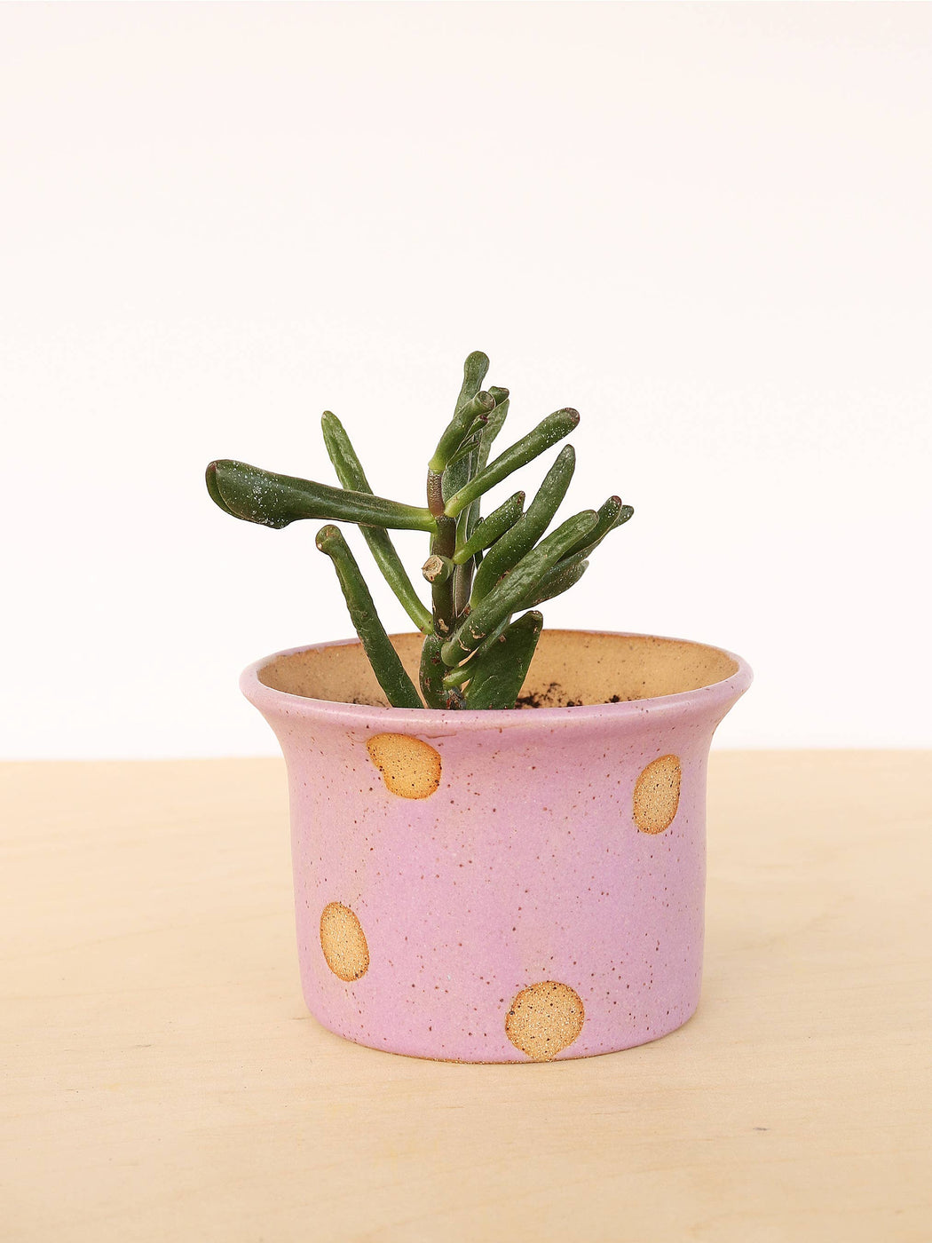 Nightshift Ceramics | Small Ceramic Planter | Lilac Polka Dot | hazel & Rose | Minneapolis