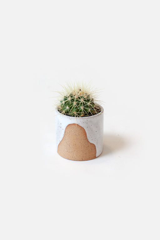 Small Ceramic Planter | Drift White