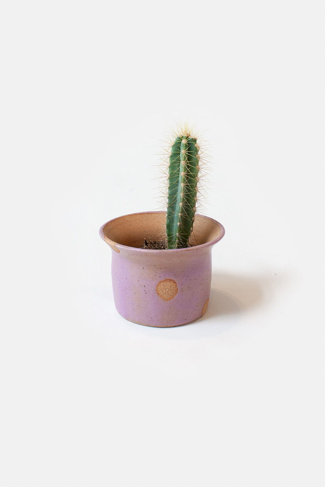 Small Ceramic Planter | Lilac Polka Dot